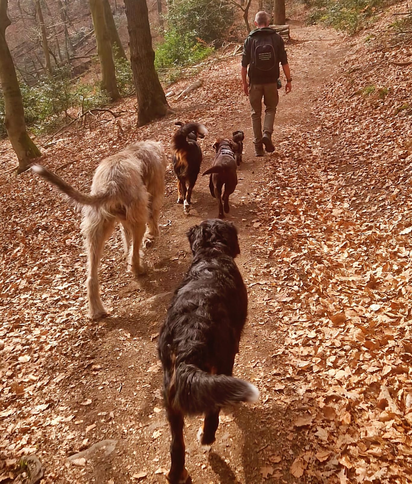 Fell und Fell Sozialwalk