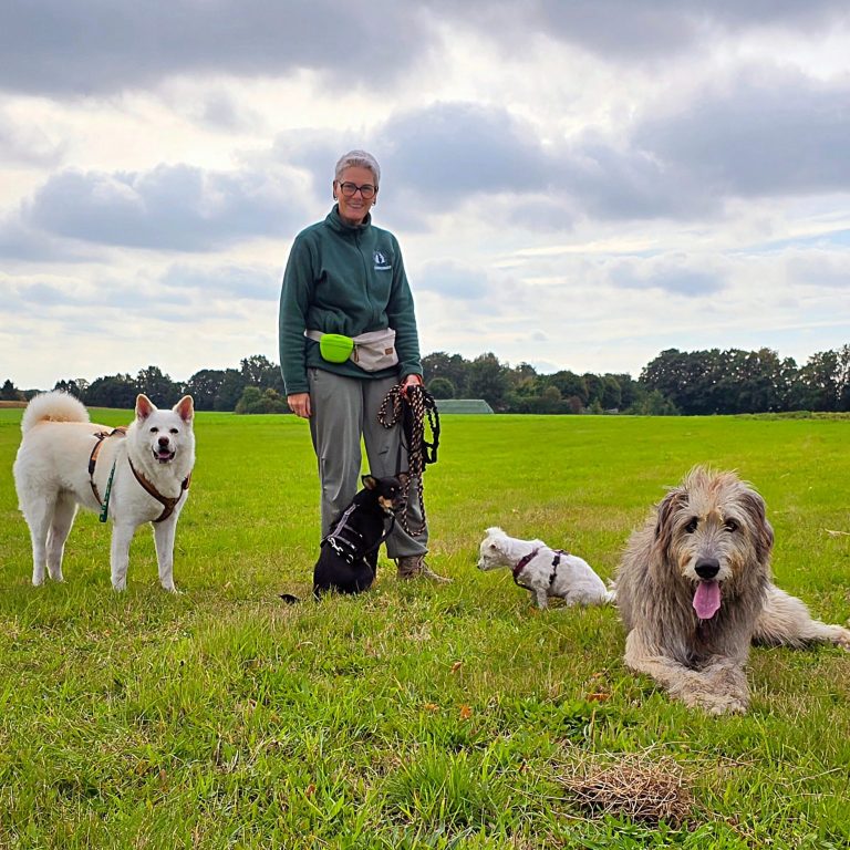 Fell und Feel Kathrin Friedrich